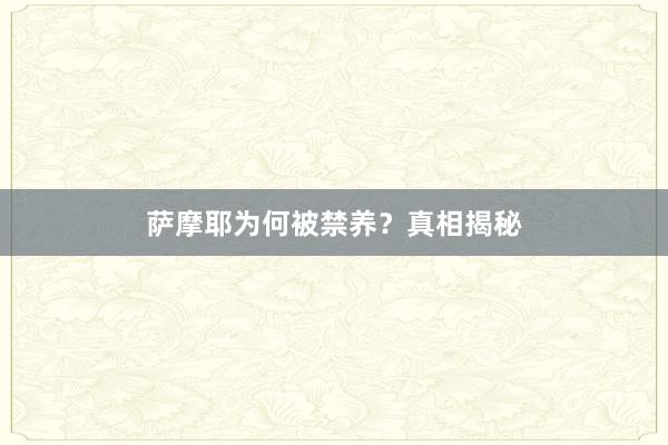 萨摩耶为何被禁养？真相揭秘